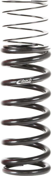 Eibach Dual Spring System